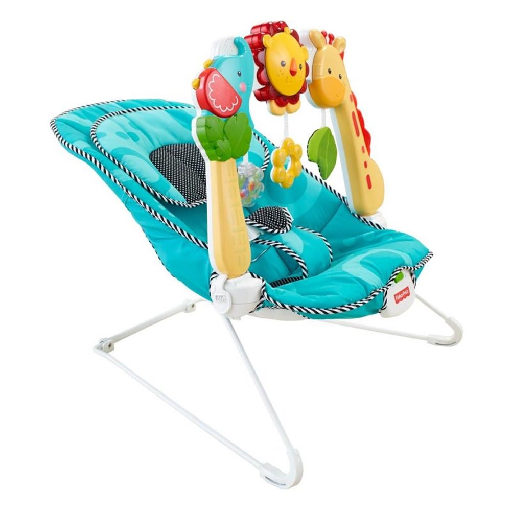 Fisher-Price 2-in-1 Sensory Stages Wippe